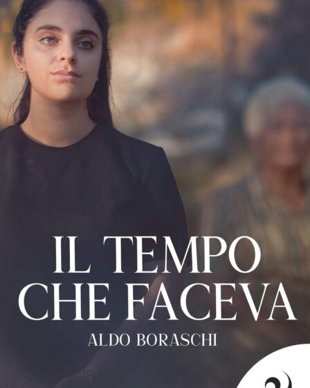 Copertina del libro Il tempo che faceva di Aldo Boraschi